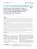 Genome-scale transcriptional study of hybrid effects and regulatory divergence in an F1 hybrid Ruellia (Wild Petunias: Acanthaceae) and its parents