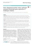 Short oligogalacturonides induce pathogen resistance-associated gene expression in Arabidopsis thaliana