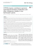 CYP79D enzymes contribute to jasmonic acid-induced formation of aldoximes and other nitrogenous volatiles in two Erythroxylum species