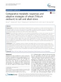 Comparative metabolic responses and adaptive strategies of wheat (Triticum aestivum) to salt and alkali stress