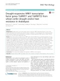 Drought-responsive WRKY transcription factor genes TaWRKY1 and TaWRKY33 from wheat confer drought and/or heat resistance in Arabidopsis