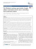 The Phytoene synthase gene family of apple (Malus x domestica) and its role in controlling fruit carotenoid content
