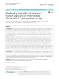 Overlapping toxic effect of long term thallium exposure on white mustard (Sinapis alba L.) photosynthetic activity