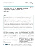 The effect of UV-B on Arabidopsis leaves depends on light conditions after treatment