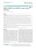 DAMPs, MAMPs, and NAMPs in plant innate immunity
