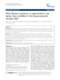 Plant disease resistance is augmented in uzu barley lines modified in the brassinosteroid receptor BRI1