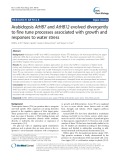 Arabidopsis AtHB7 and AtHB12 evolved divergently to fine tune processes associated with growth and responses to water stress