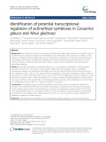 Identification of potential transcriptional regulators of actinorhizal symbioses in Casuarina glauca and Alnus glutinosa
