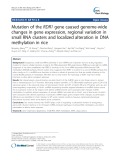 Mutation of the RDR1 gene caused genome-wide changes in gene expression, regional variation in small RNA clusters and localized alteration in DNA methylation in rice