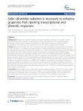 Solar ultraviolet radiation is necessary to enhance grapevine fruit ripening transcriptional and phenolic responses