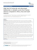 High level of molecular and phenotypic biodiversity in Jatropha curcas from Central America compared to Africa, Asia and South America