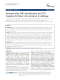 Genome-wide SNP identification and QTL mapping for black rot resistance in cabbage