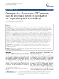 Overexpression of a truncated CTF7 construct leads to pleiotropic defects in reproduction and vegetative growth in Arabidopsis
