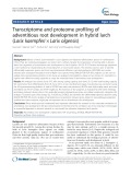 Transcriptome and proteome profiling of adventitious root development in hybrid larch (Larix kaempferi × Larix olgensis)