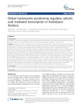 Global nucleosome positioning regulates salicylic acid mediated transcription in Arabidopsis thaliana