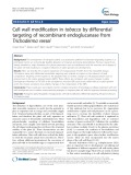 Cell wall modification in tobacco by differential targeting of recombinant endoglucanase from Trichoderma reesei