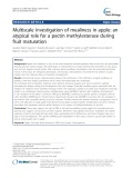 Multiscale investigation of mealiness in apple: An atypical role for a pectin methylesterase during fruit maturation
