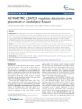 ASYMMETRIC LEAVES1 regulates abscission zone placement in Arabidopsis flowers