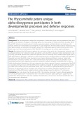 The Physcomitrella patens unique alpha-dioxygenase participates in both developmental processes and defense responses