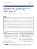 Identification of boron-deficiency-responsive microRNAs in Citrus sinensis roots by Illumina sequencing