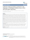 Cadmium-induced ethylene production and responses in Arabidopsis thaliana rely on ACS2 and ACS6 gene expression