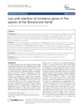 Loss and retention of resistance genes in five species of the Brassicaceae family