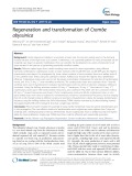 Regeneration and transformation of Crambe abyssinica