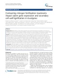 Contrasting nitrogen fertilization treatments impact xylem gene expression and secondary cell wall lignification in Eucalyptus