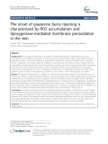 The onset of grapevine berry ripening is characterized by ROS accumulation and lipoxygenase-mediated membrane peroxidation in the skin