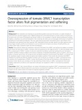 Overexpression of tomato SlNAC1 transcription factor alters fruit pigmentation and softening