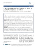 A genome-wide analysis of MADS-box genes in peach [Prunus persica (L.) Batsch]
