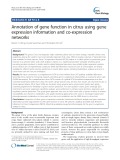 Annotation of gene function in citrus using gene expression information and co-expression networks
