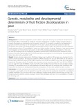 Genetic, metabolite and developmental determinism of fruit friction discolouration in pear