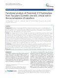 Functional analysis of Flavonoid 3′,5′-hydroxylase from Tea plant (Camellia sinensis): Critical role in the accumulation of catechins
