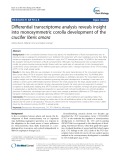 Differential transcriptome analysis reveals insight into monosymmetric corolla development of the crucifer Iberis amara