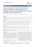 Co-overexpression of two Heat Shock Factors results in enhanced seed longevity and in synergistic effects on seedling tolerance to severe dehydration and oxidative stress