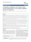 Comparative mapping in the Poaceae family reveals translocations in the complex polyploid genome of sugarcane