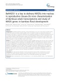 BeMADS1 is a key to delivery MADSs into nucleus in reproductive tissues-De novo characterization of Bambusa edulis transcriptome and study of MADS genes in bamboo floral development