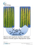 Abscisic acid negatively interferes with basal defence of barley against Magnaporthe oryzae