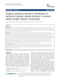 Terpene synthases and their contribution to herbivore-induced volatile emission in western balsam poplar (Populus trichocarpa)