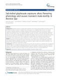 Sub-lethal glyphosate exposure alters flowering phenology and causes transient male-sterility in Brassica spp