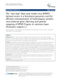 The “one-step” Bean pod mottle virus (BPMV)- derived vector is a functional genomics tool for efficient overexpression of heterologous protein, virus-induced gene silencing and genetic mapping of BPMV R-gene in common bean (Phaseolus vulgaris L.)