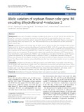 Allelic variation of soybean flower color gene W4 encoding dihydroflavonol 4-reductase 2