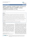 AtROP1 negatively regulates potato resistance to Phytophthora infestans via NADPH oxidasemediated accumulation of H2O2