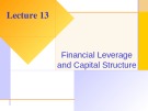 Lecture Fundamentals of corporate finance: Lecture 13