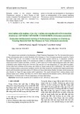 Khả năng đối kháng của các chủng xạ khuẩn đối với vi khuẩn Erwinia sp. gây bệnh thối nhũn củ khoai môn (Colocasia esculenta)
