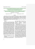 Hiệu quả của chế phẩm nấm Paecilomyces javanicus (Friedrichs and Bally) phòng trừ rệp sáp Planococcus lilacinus (Cockerell) ở điều kiện phòng thí nghiệm và nhà lưới