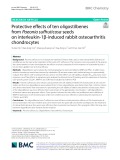 Protective effects of ten oligostilbenes from Paeonia suffruticosa seeds on interleukin-1β-induced rabbit osteoarthritis chondrocytes