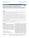 Protein adsorption through Chitosan - Alginate membranes for potential applications