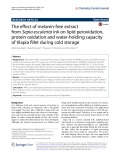 The efect of melanin-free extract from Sepia esculenta ink on lipid peroxidation, protein oxidation and water-holding capacity of tilapia fillet during cold storage